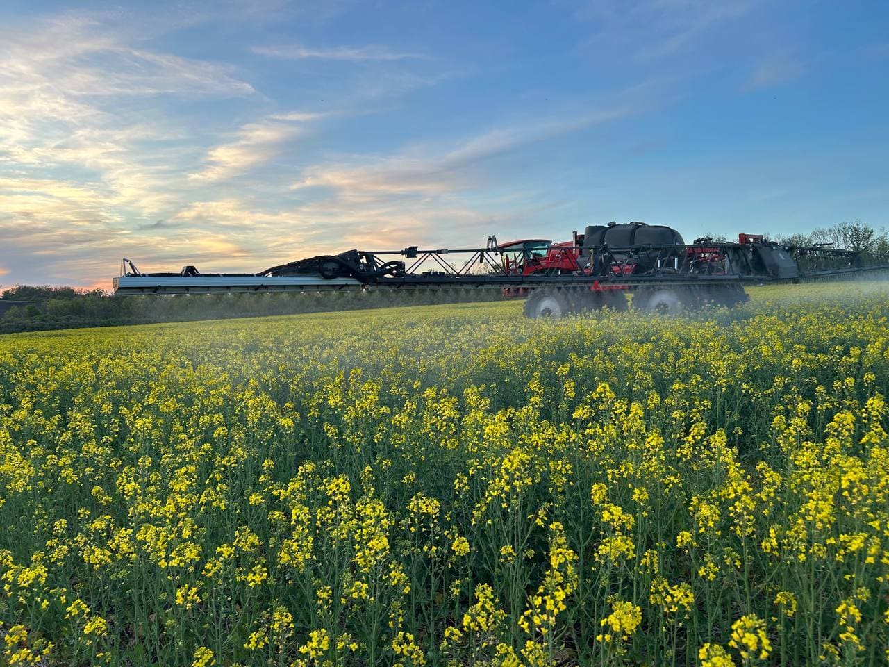 САМОХІДНІ ОБПРИСКУВАЧІ HORSCH LEEB, ПРАЦЮЮТЬ В ПОЛЯХ ТОВ 