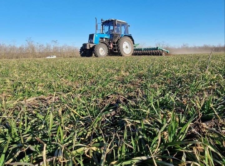 РОТАЦІЙНЕ БОРОНУВАННЯ ПОСІВІВ ОЗИМИХ КУЛЬТУР – ВАЖЛИВИЙ ВЕСНЯНИЙ АГРОПРИЙОМ